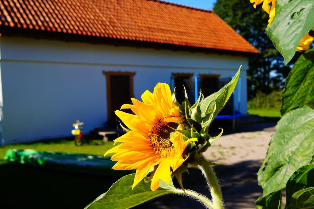 Rybaczowka Luknajno Villa Mikołajki Luaran gambar